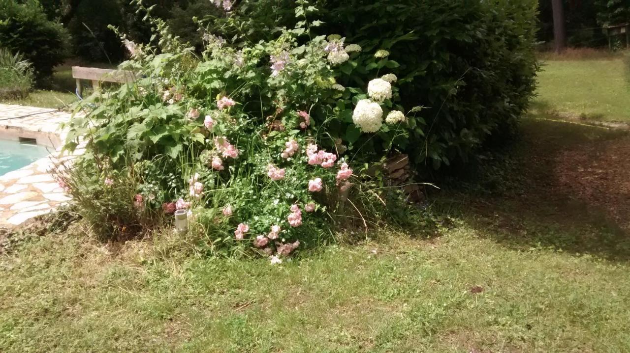 布斯克提耶住宿加早餐旅馆 皮奥伦克 外观 照片